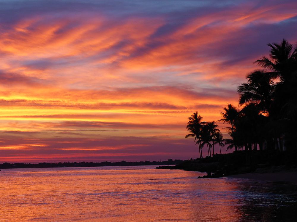 Click to See Next Image